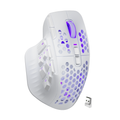 SOLAKAKA SM809 Pro MMO Gaming Mouse